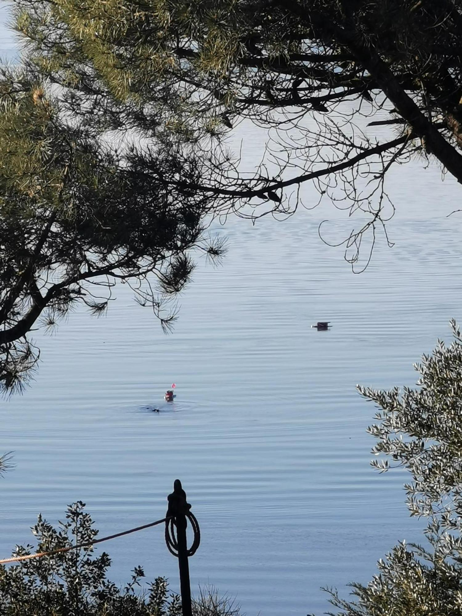 דירות סן מלו Les Pieds Dans L'Eau מראה חיצוני תמונה